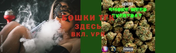 тгк Лагань