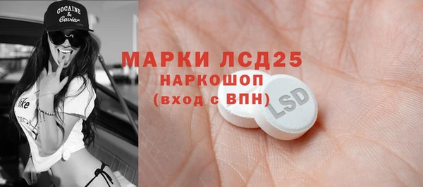 тгк Лагань