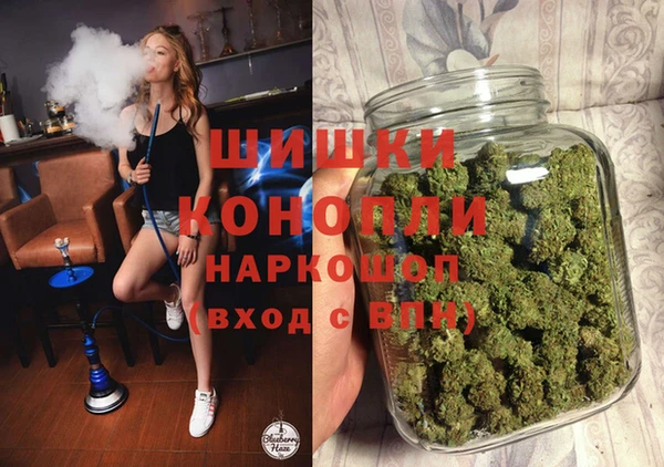 тгк Лагань