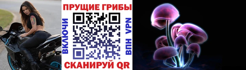 Псилоцибиновые грибы MAGIC MUSHROOMS  Шлиссельбург 